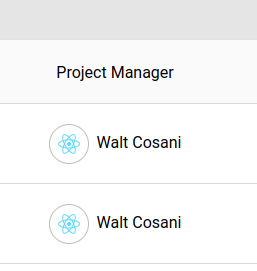Project Manager